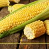 بازاریابی ویروسی
